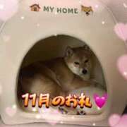 ヒメ日記 2025/12/03 19:46 投稿 木下あけみ MADAM