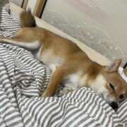 木下あけみ 向かってます? MADAM