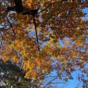 木下あけみ 朝散歩? MADAM