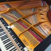 ヒメ日記 2024/12/12 08:46 投稿 乙葉めぐみ MADAM