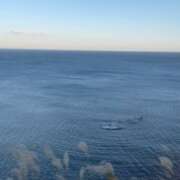 ヒメ日記 2024/12/31 20:16 投稿 乙葉めぐみ MADAM