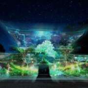 ヒメ日記 2025/11/10 08:46 投稿 乙葉めぐみ MADAM