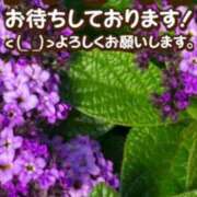 ヒメ日記 2024/10/01 12:31 投稿 広瀬まほ MADAM