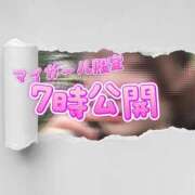 ヒメ日記 2025/02/12 20:18 投稿 ミナ ごほうびSPA京都店