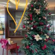 ヒメ日記 2024/12/10 01:16 投稿 朝倉さつき MADAM