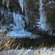 ヒメ日記 2024/12/17 09:16 投稿 朝倉さつき MADAM