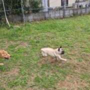 ヒメ日記 2024/12/20 03:01 投稿 朝倉さつき MADAM