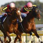 ヒメ日記 2025/12/05 10:16 投稿 朝倉さつき MADAM