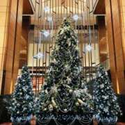 ヒメ日記 2024/12/23 18:16 投稿 谷口ももか MADAM