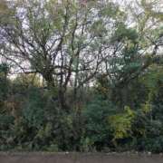 谷口ももか おはよー?? MADAM