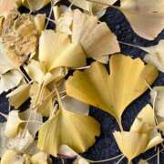 ヒメ日記 2025/12/05 16:31 投稿 河村まりこ MADAM