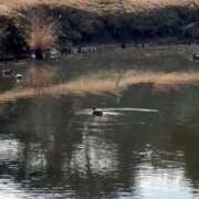 ヒメ日記 2024/12/30 20:16 投稿 中村すみれ MADAM