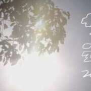 ヒメ日記 2024/12/22 14:31 投稿 宮野わかな MADAM