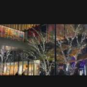 ヒメ日記 2025/12/12 23:16 投稿 宮野わかな MADAM