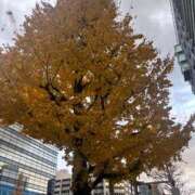 ヒメ日記 2024/12/27 16:01 投稿 竹中ほずみ MADAM