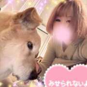 ヒメ日記 2024/12/08 05:16 投稿 永井まゆみ MADAM