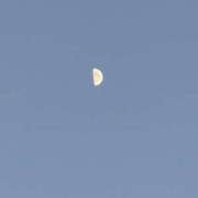 ヒメ日記 2024/12/10 05:31 投稿 永井まゆみ MADAM