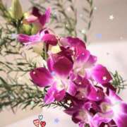 ヒメ日記 2024/12/10 19:46 投稿 倉田ふみか MADAM