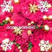 ヒメ日記 2024/12/18 05:31 投稿 倉田ふみか MADAM