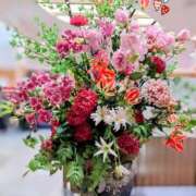 ヒメ日記 2024/12/30 18:46 投稿 倉田ふみか MADAM