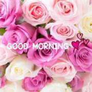 ヒメ日記 2024/12/31 05:31 投稿 倉田ふみか MADAM