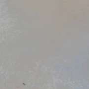 ヒメ日記 2024/12/08 10:16 投稿 野島かのこ MADAM