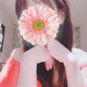 ヒメ日記 2024/12/14 05:01 投稿 野島かのこ MADAM