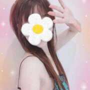 ヒメ日記 2024/12/27 12:16 投稿 野島かのこ MADAM