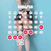 ヒメ日記 2024/12/21 06:31 投稿 川田みひろ MADAM