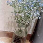 ヒメ日記 2024/12/13 07:46 投稿 伊藤まゆ MADAM