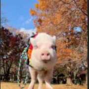 葛西しおり おはようございます? MADAM