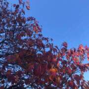 ヒメ日記 2024/12/05 07:01 投稿 杉下あんな MADAM