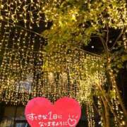 ヒメ日記 2024/12/06 07:16 投稿 杉下あんな MADAM