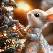 ヒメ日記 2024/12/14 13:46 投稿 杉下あんな MADAM