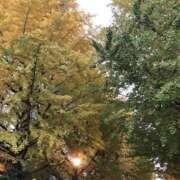 杉下あんな 流行りには乗らないぞ！ MADAM