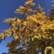 杉下あんな バチバチっとしたら。 MADAM