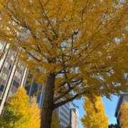 ヒメ日記 2025/12/05 15:01 投稿 森山れな MADAM