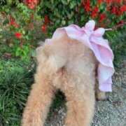 ヒメ日記 2025/12/07 12:46 投稿 柴崎ななこ MADAM