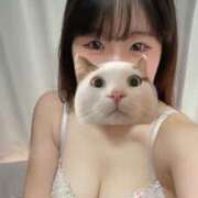 ヒメ日記 2025/10/25 20:00 投稿 あおい 素人しか勝たん！柏店（超恋人型空間デリヘル）