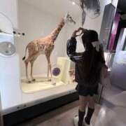 ヒメ日記 2025/11/22 18:20 投稿 あおい 素人しか勝たん！柏店（超恋人型空間デリヘル）