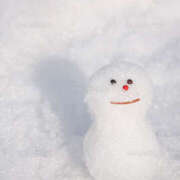 ヒメ日記 2025/03/05 09:39 投稿 あんな ライラック