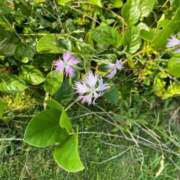 ヒメ日記 2025/07/20 20:00 投稿 あられ 北九州人妻倶楽部（三十路、四十路、五十路）