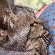 あられ 本日7/23★出勤します！ 北九州人妻倶楽部（三十路、四十路、五十路）