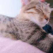 ヒメ日記 2025/01/02 14:33 投稿 キラリ ドMな奥様 大阪本店