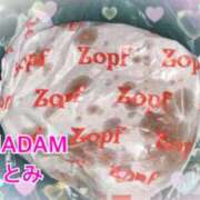 ヒメ日記 2024/09/05 08:31 投稿 桃園ことみ MADAM