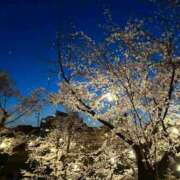 ヒメ日記 2025/04/11 23:36 投稿 あかり ピュアコス学園