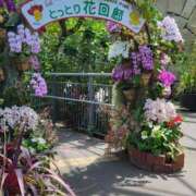 ヒメ日記 2025/04/09 19:46 投稿 安田 えみ 人妻の雫 倉敷店