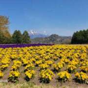 ヒメ日記 2025/04/19 06:26 投稿 安田 えみ 人妻の雫 倉敷店