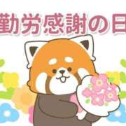 ヒメ日記 2025/11/23 05:46 投稿 安田 えみ 人妻の雫 倉敷店