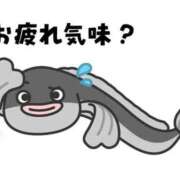 ヒメ日記 2026/07/26 17:36 投稿 安田 えみ 人妻の雫 倉敷店
